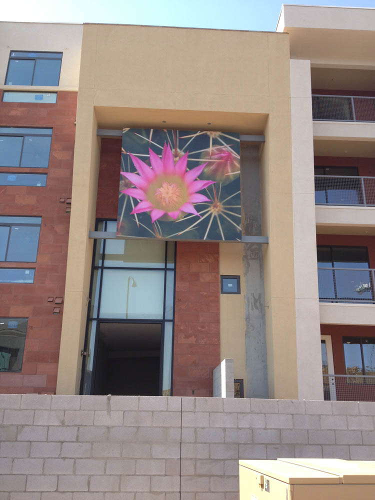 Outdoor photo hanging across a building entrance