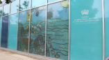 British International School of Chicago window graphics