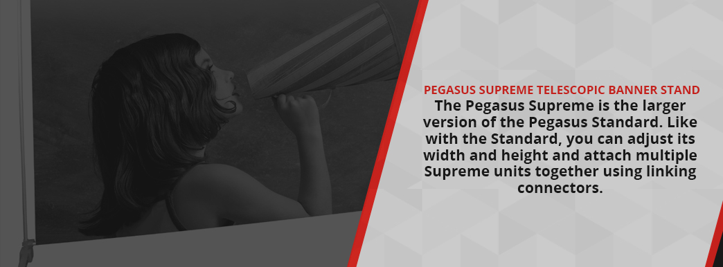 Pegasus Supreme Telescopic Banner Stand