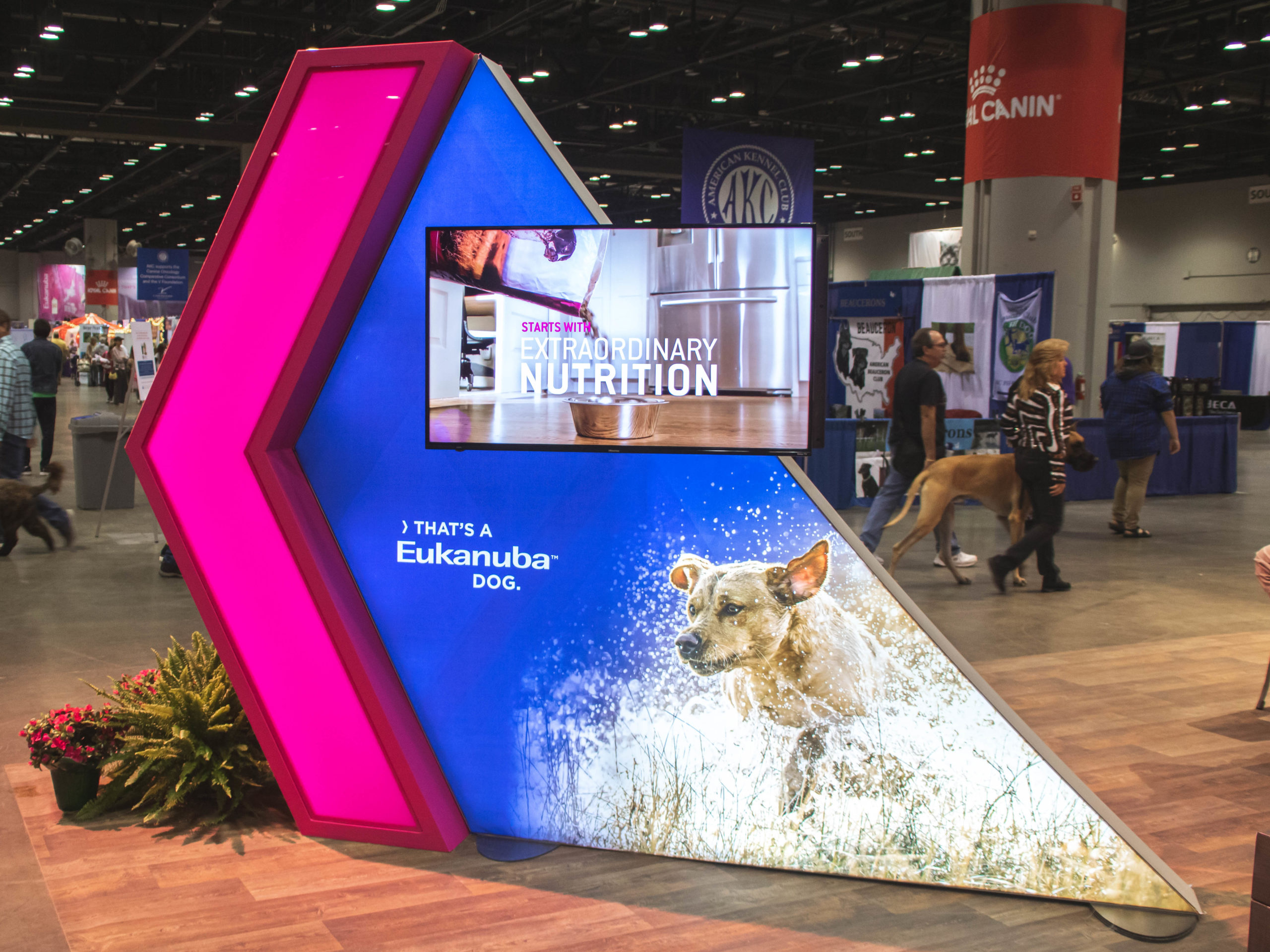 Eukanuba digital and backlit display